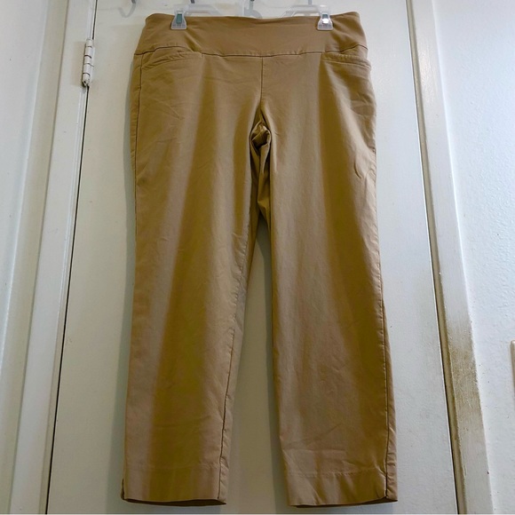 Swing Control Masters Ankle Pant Elasticized Waist W/Tummy Control Beige Size 12 - Picture 8 of 16